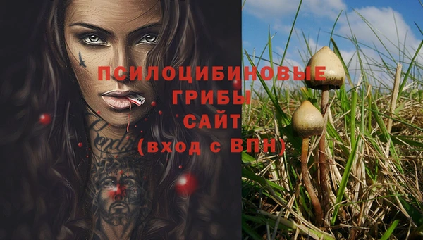 ALPHA-PVP Алексеевка
