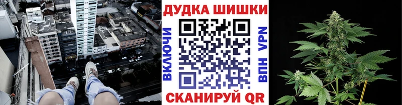 Канабис конопля  Купить закладки  Сясьстрой 